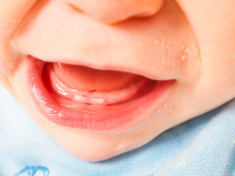 Gums of a baby