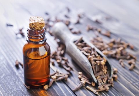 Clove oil in a bottle