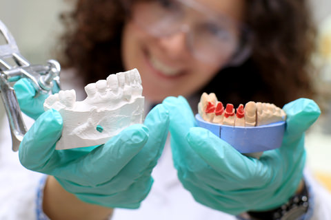 A dental technician with a mould