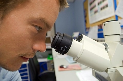 A scientist look through a microscope